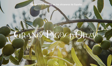 Grandes pagos de olivar
